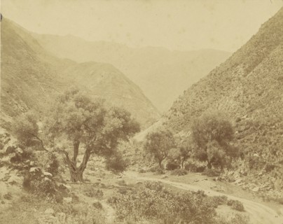 Vallée de l'Oued-el-Kabir, Algerie; Charles Marville, French, 1813 - 1879, Algeria; 1852; Salted paper print; 24.6 x 31.1 cm