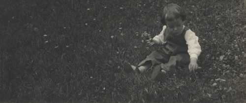 Charles O'Malley Sitting in the Grass Picking Flowers; Gertrude Käsebier, American, 1852 - 1934, Newport, Rhode Island, USA