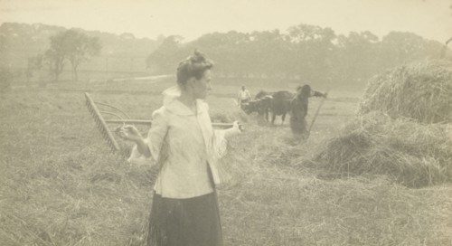 Gertrude O'Malley in Field with Rake; Gertrude Käsebier, American, 1852 - 1934, Newport, Rhode Island, ?, United States; 1904