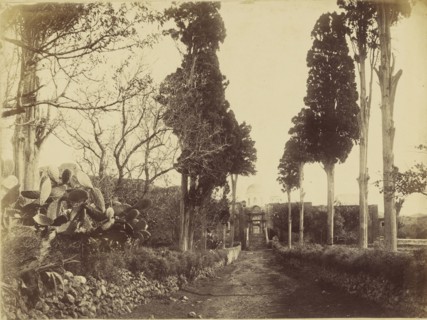Hagia Triada - Avenue et Couvent; William J. Stillman, American, 1828 - 1901, 1860 - 1869; Albumen silver print