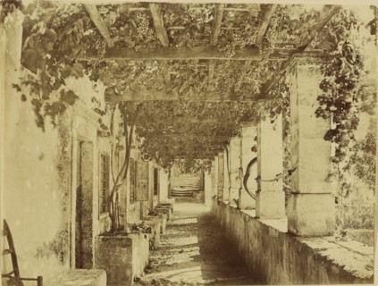 Hagia Triada - Cloitre; Attributed to William J. Stillman, American, 1828 - 1901, 1860 - 1869; Albumen silver print