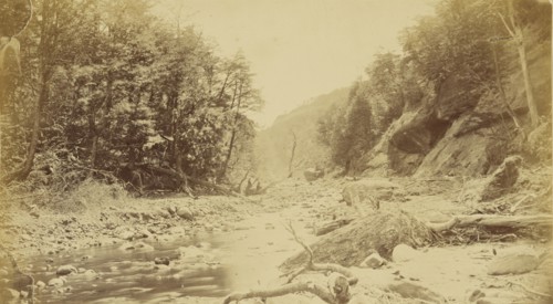 Landscape with a river, possibly in South America; 1870s; Albumen silver print