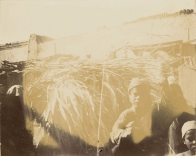 Boy in front of bundle of branches; about 1860 - 1880; Tinted Albumen silver print