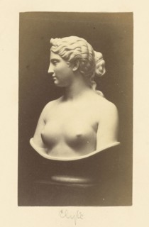 Sculptural Female Bust; British; 1870s - 1880s; Print