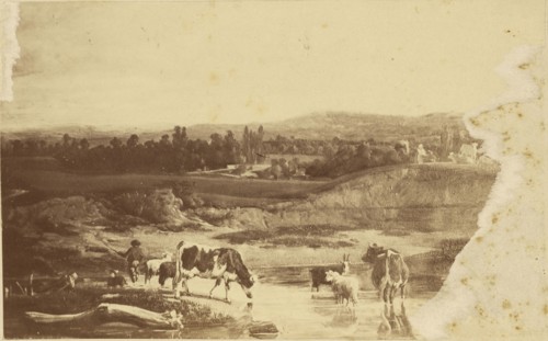 Landscape painting; about 1860 - 1890; Albumen silver print