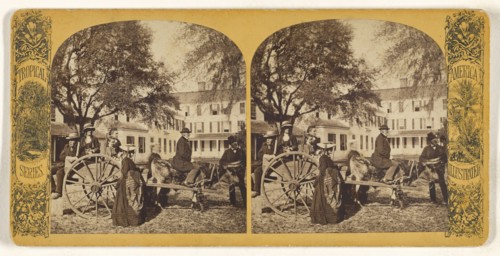 Florida Express. B. Magnolia; American; about 1865 - 1875; Albumen silver print