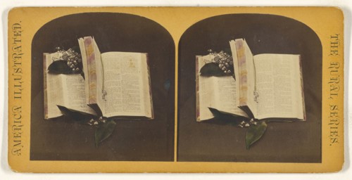 Book opened at two spots, one with book mark string, the other with flowers; American; about 1870 - 1880; Hand-colored Albumen