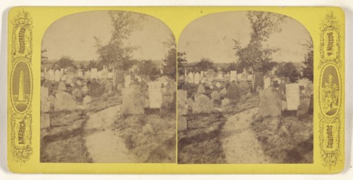 Burying Hill Plymouth Mass; American; about 1870 - 1880; Albumen silver print