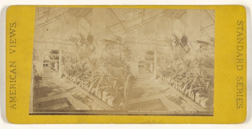 Green House, Presidential Mansion, D.C; American; about 1865 - 1875; Albumen silver print