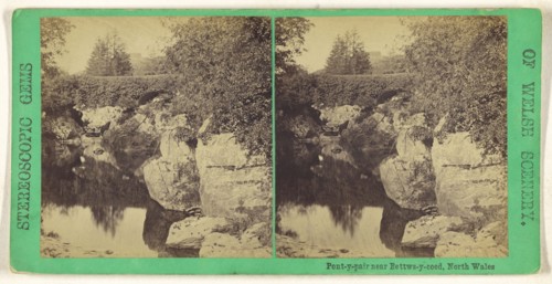 Pont-y-pair near Bettws-y-coed, North Wales; British; about 1865; Albumen silver print