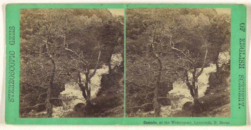 Cascade, at the Watersmeet, Lynmouth, N. Devon; British; about 1865; Albumen silver print
