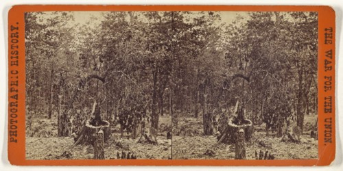Woods on the left wing, Battle of Gettysburgh; Studio of Mathew B. Brady, American, about 1823 - 1896, July 1863; Albumen