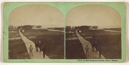 View at Old Orchard Beach, Saco, Maine; B.F. Cole, American, active 1860s, 1860s; Albumen silver print