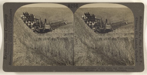 Evolution of the Sickle and Flail - 33-horse Harvester at Walla Walla, Washington; Underwood & Underwood, American, 1881 - 1940s