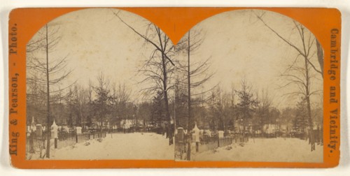 Winter View, Mt. Auburn; King & Pearson; 1880s; Albumen silver print
