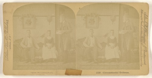 Circumstantial Evidence; Franklin G. Weller, American, 1833 - 1877, 1891; Albumen silver print