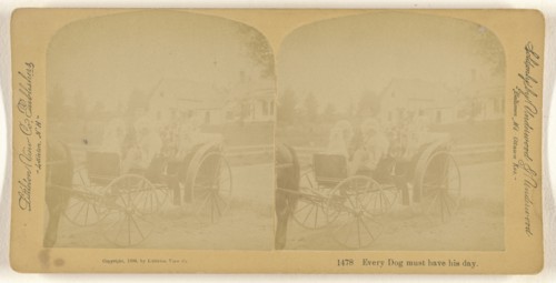 Every Dog must have his day; Franklin G. Weller, American, 1833 - 1877, 1889; Albumen silver print