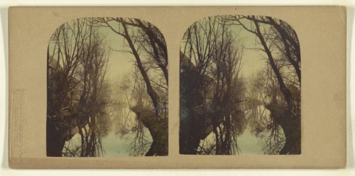 A View on the River Lea, In Essex; London Stereoscopic Company, active 1854 - 1890, about 1860; Hand colored Albumen silver