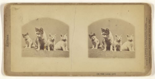 On the Look Out; John P. Soule, American, 1827 - 1904, 1871; Albumen silver print