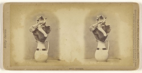 Moll Pitcher; John P. Soule, American, 1827 - 1904, 1871; Albumen silver print