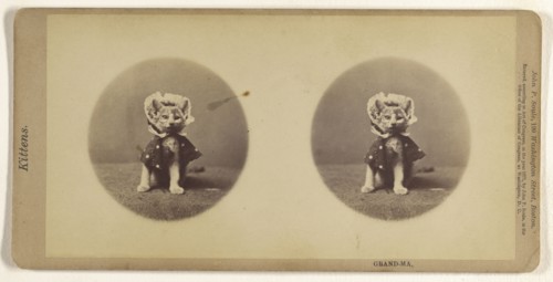 Grand-Ma; John P. Soule, American, 1827 - 1904, 1871; Albumen silver print