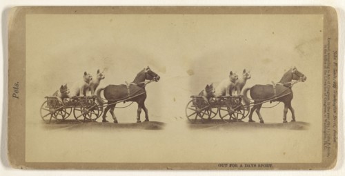 Out for a Days Sport; John P. Soule, American, 1827 - 1904, 1873; Albumen silver print