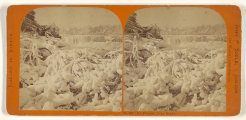 Ice Foliage, Luna Island; John P. Soule, American, 1827 - 1904, about 1865; Albumen silver print