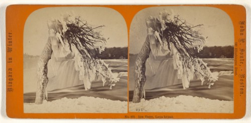 Ice Tree, Luna Island; John P. Soule, American, 1827 - 1904, about 1865; Albumen silver print