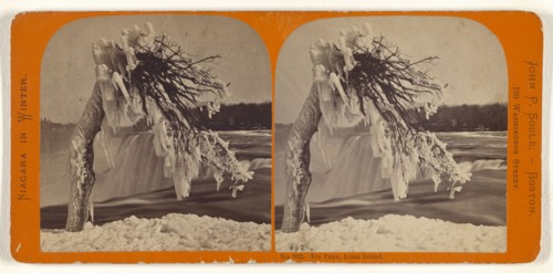 Ice Tree, Luna Island; John P. Soule, American, 1827 - 1904, about 1865; Albumen silver print