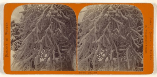 Coral Ice; John P. Soule, American, 1827 - 1904, about 1865; Albumen silver print