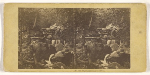 Cascades Near The Pool; John P. Soule, American, 1827 - 1904, 1861 - 1862; Albumen silver print