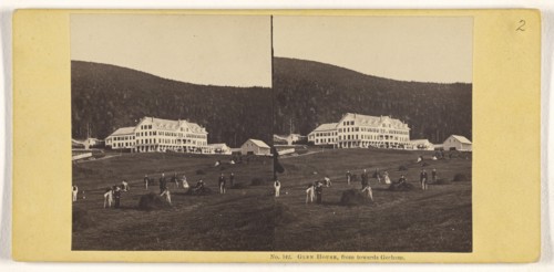 Glen House, from towards Gorham; John P. Soule, American, 1827 - 1904, about 1861; Albumen silver print
