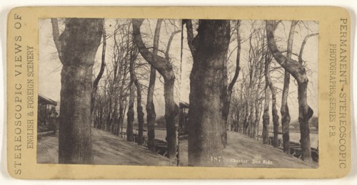 Chester. Dee Side; British; 1880s; Collotype
