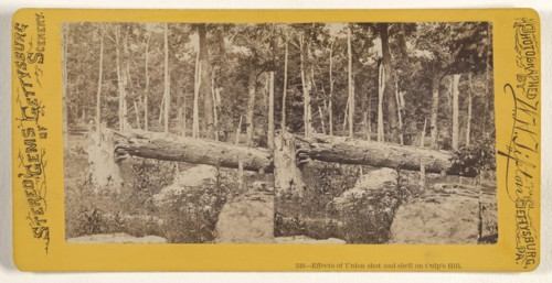 Effects of Union shot and shell on Culp's Hill; William H. Tipton, American, 1850 - 1929, active Gettysburg, Pennsylvania