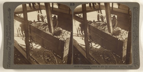 Unloading cotton at gin by pnematic suction pipe, Georgia; Underwood & Underwood, American, 1881 - 1940s, about 1900; Gelatin