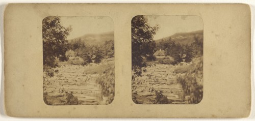 Western Cemetery. Dundee, Scotland; James Valentine, Scottish, 1815 - 1879, 1870s; Albumen silver print