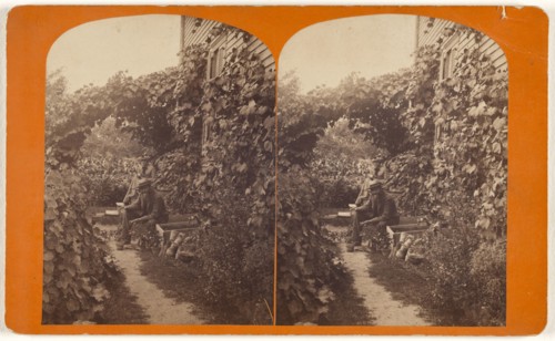 Elderly couple seated on steps of house in their garden; Elisha M. Van Aken, American, 1828 - 1904, 1870s; Albumen silver print