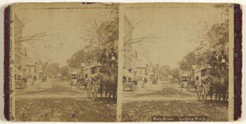 Main Street. Looking North. Albany, New York; Aaron Veeder, American, active Albany, New York 1870s - 1880s, 1875 - 1885