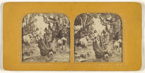Genre scene: Adam & Eve in the Garden of Eden; Charles Gaudin, Ch. G., French, active 1860s, 1860s; Hand-colored Albumen silver