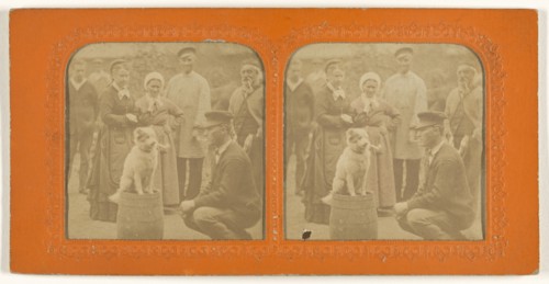 Dog smoking a pipe seated on a barrel with people observing; about 1860; Hand-colored Albumen silver print