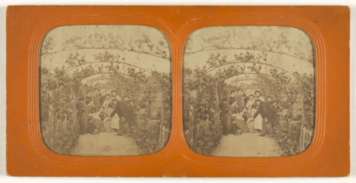 Group of people under a series of grape vines; 1855 - 1860; Hand-colored Albumen silver print
