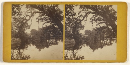 View on the Nashua River; Edward O. Waite, American, active 1880s, 1870s; Albumen silver print