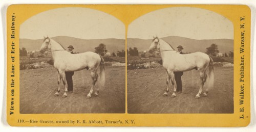 Rice Graves, owned by E.R. Abbott, Turner's, N.Y; L. E. Walker, American, 1826 - 1916, active Warsaw, New York, about 1870