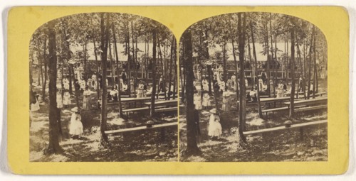 Pic-nic Party, Echo Grove. No. 1; William T. Webster, American, active Lynn, Massachusetts 1870s, 1870s; Albumen silver print