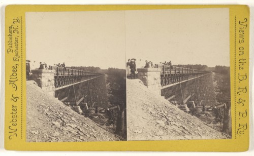 View on the B.R. & P. Railroad; Webster & Albee; about 1891; Albumen silver print
