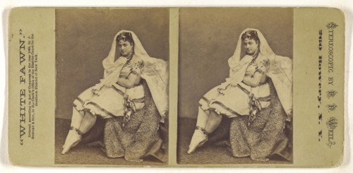 White Fawn.; Peter F. Weil, American, active New York, New York 1860s - 1870s, or Jeremiah Gurney & Son; 1868; Albumen silver