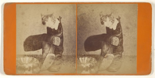 Puss in boots; Attributed to Peter F. Weil, American, active New York, New York 1860s - 1870s, about 1865; Albumen silver print