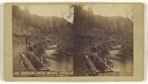 Fountain Creek, Manitou, looking up; Charles Weitfle, American, 1836 - after 1884, about 1880; Albumen silver print