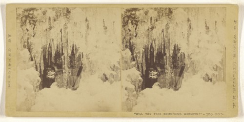 Will You Take Something Warming?; Franklin G. Weller, American, 1833 - 1877, 1875; Albumen silver print