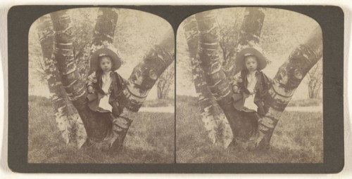 Mildred sitting on birch Tree, Washington Park, Albany, N.Y; Julius M. Wendt, American, active 1900s - 1910s, May 24, 1903